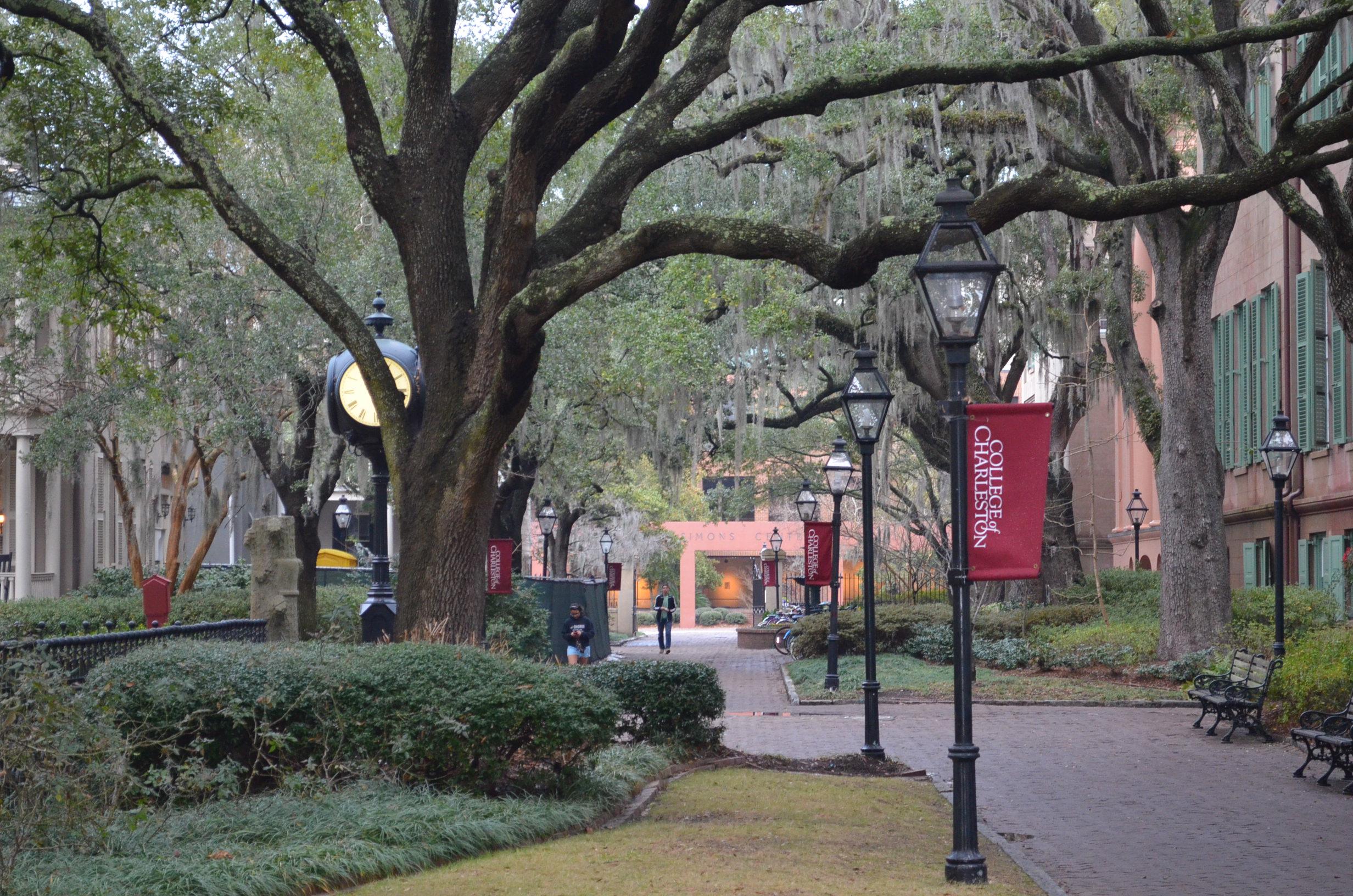 College of Charleston campus, historic district, Charleston, SC, early February 2014