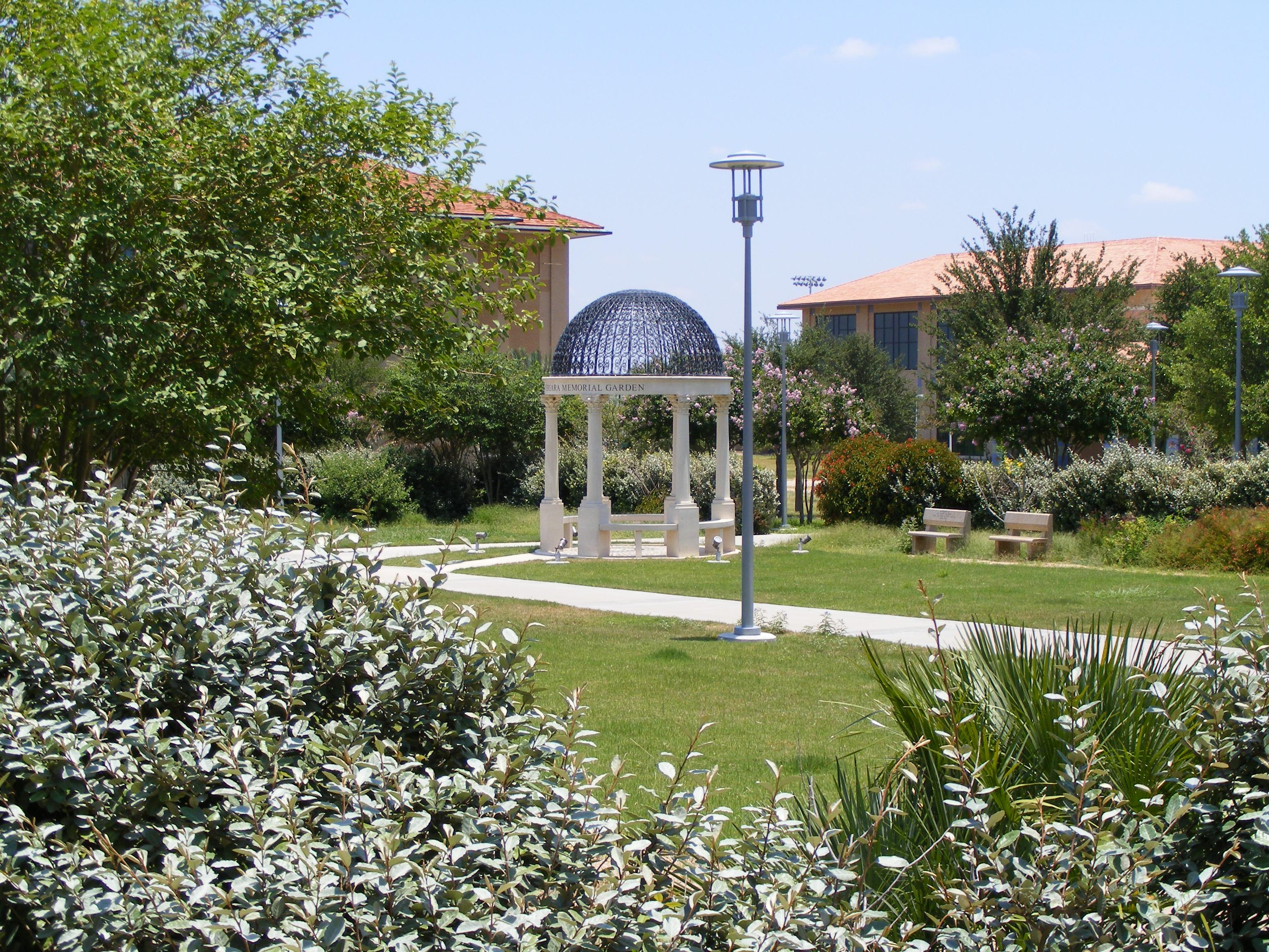 TAMIU Garden in Laredo, Texas