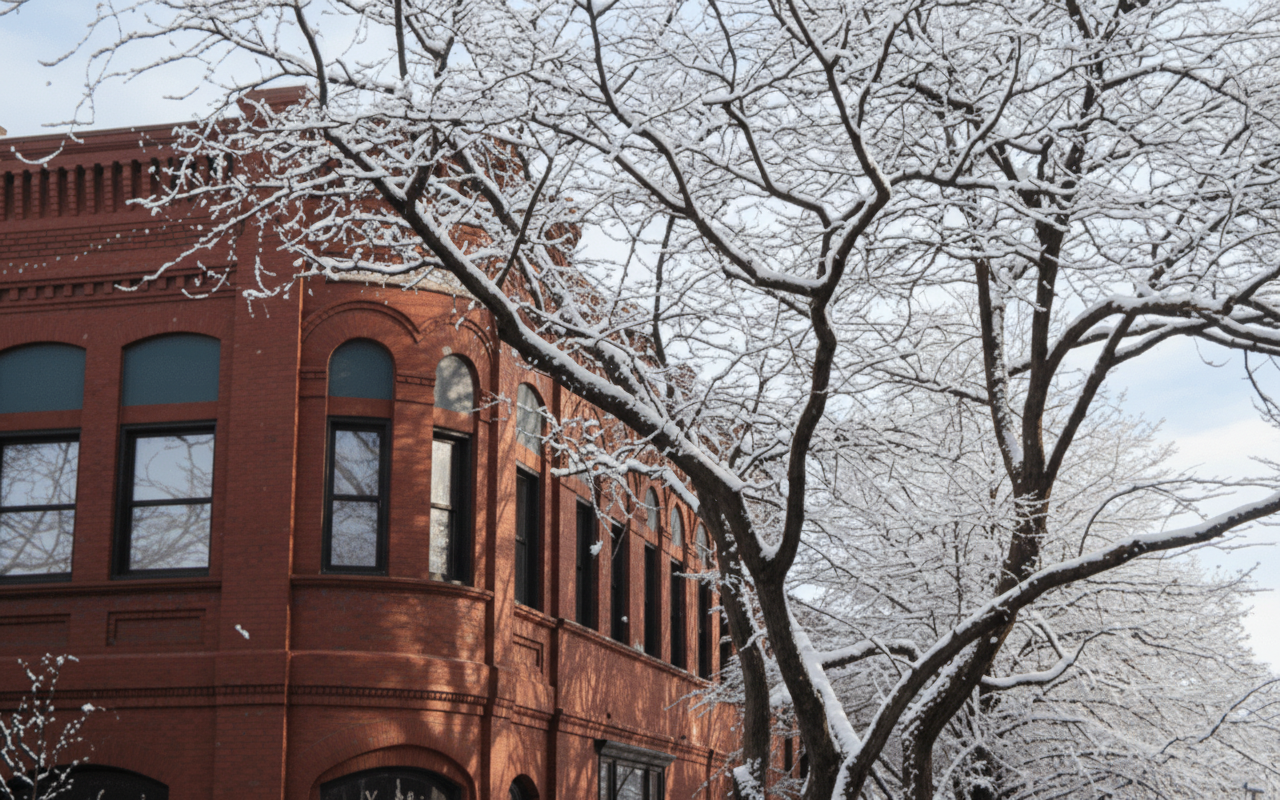 New Saint Andrews College - Homeschooling Teen