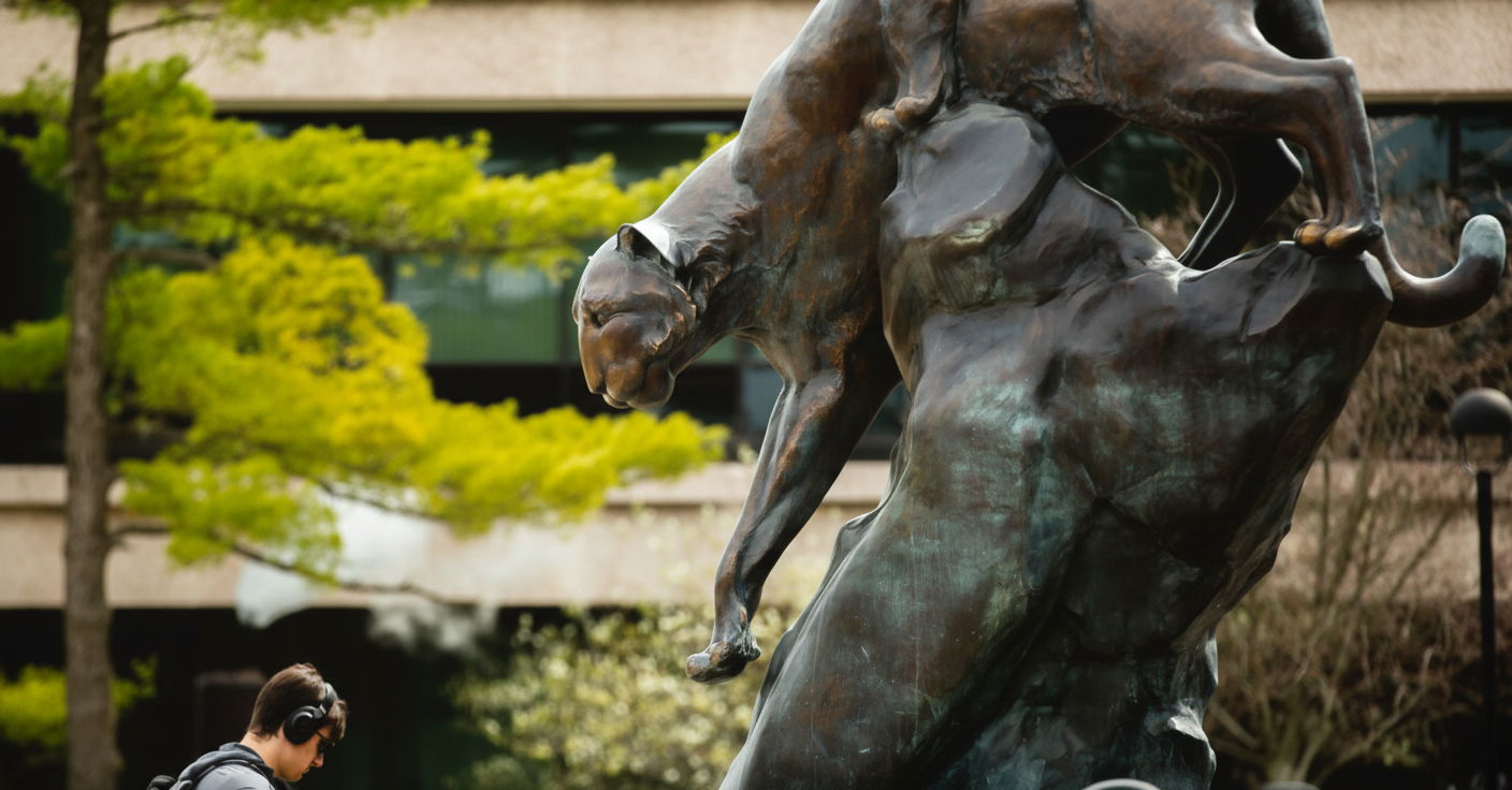 Bucking national trend, SIUE reports increased fall enrollment | STLPR