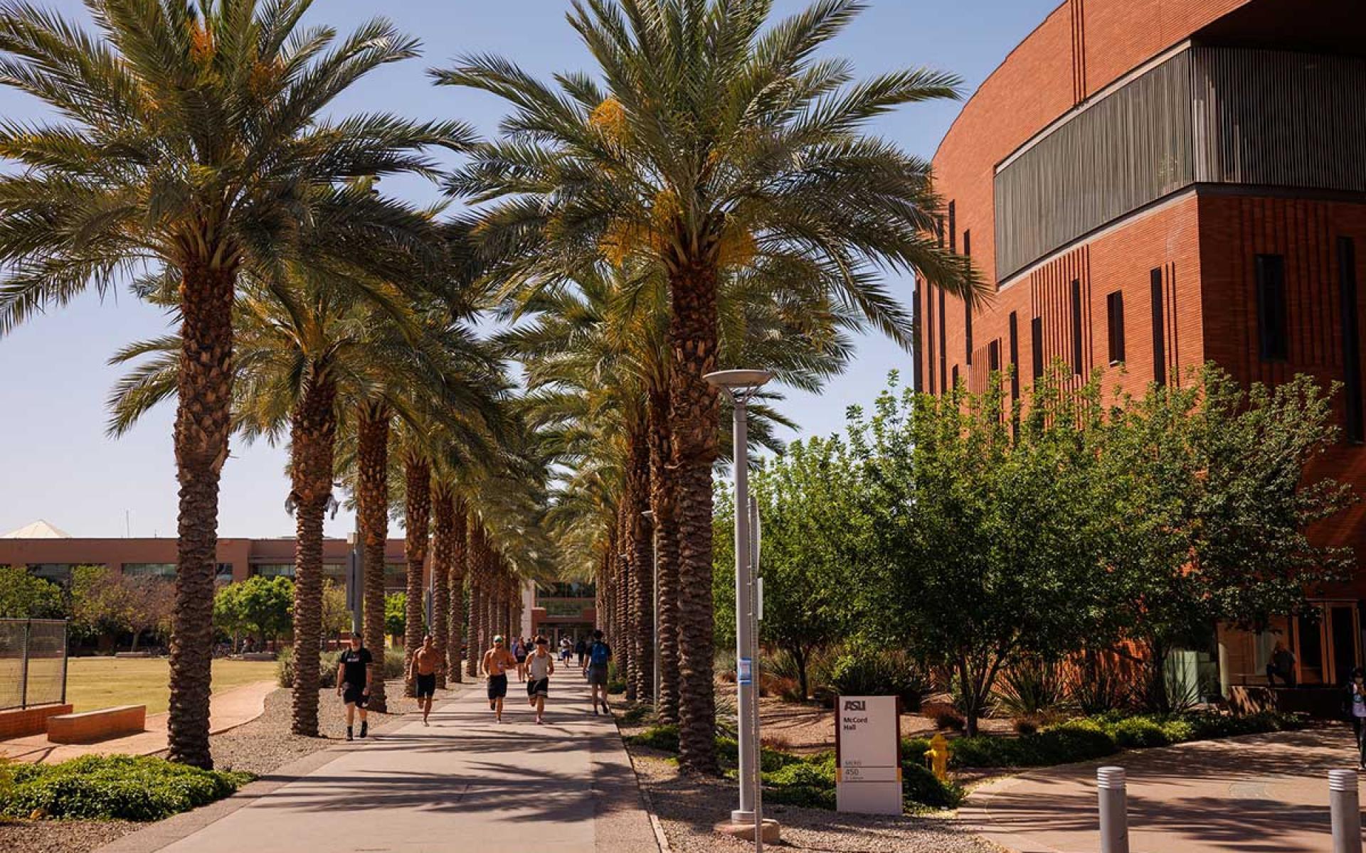 Palm Walk | Virtual Tours