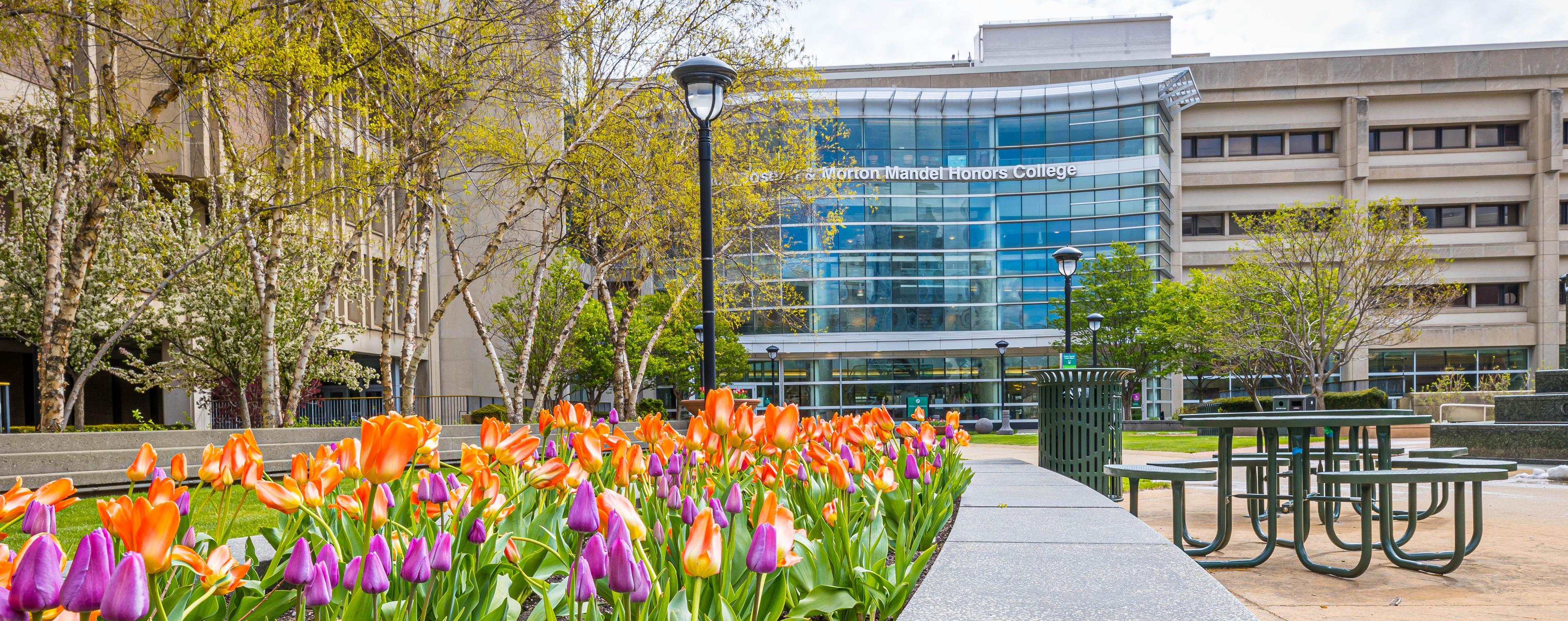 Open House | Cleveland State University