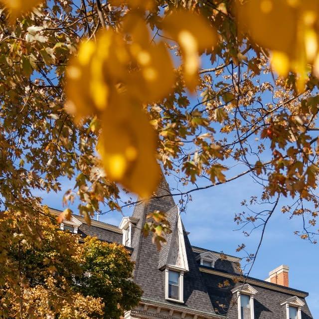 Who's ready for campus to look like this again? Happy first day of fall, Saints! 🍂 🍁