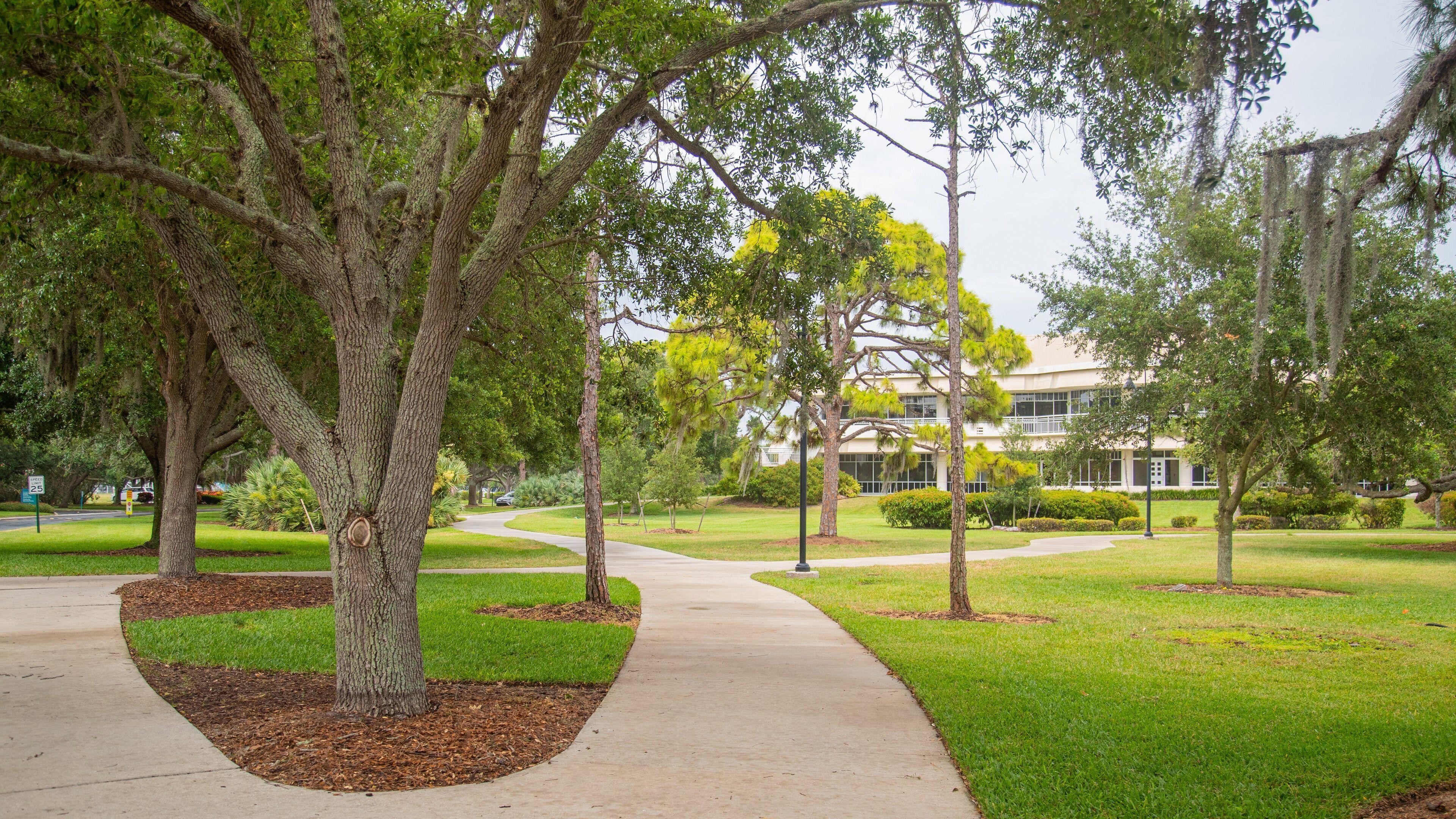 Eckerd College Tours - Book Now | Expedia