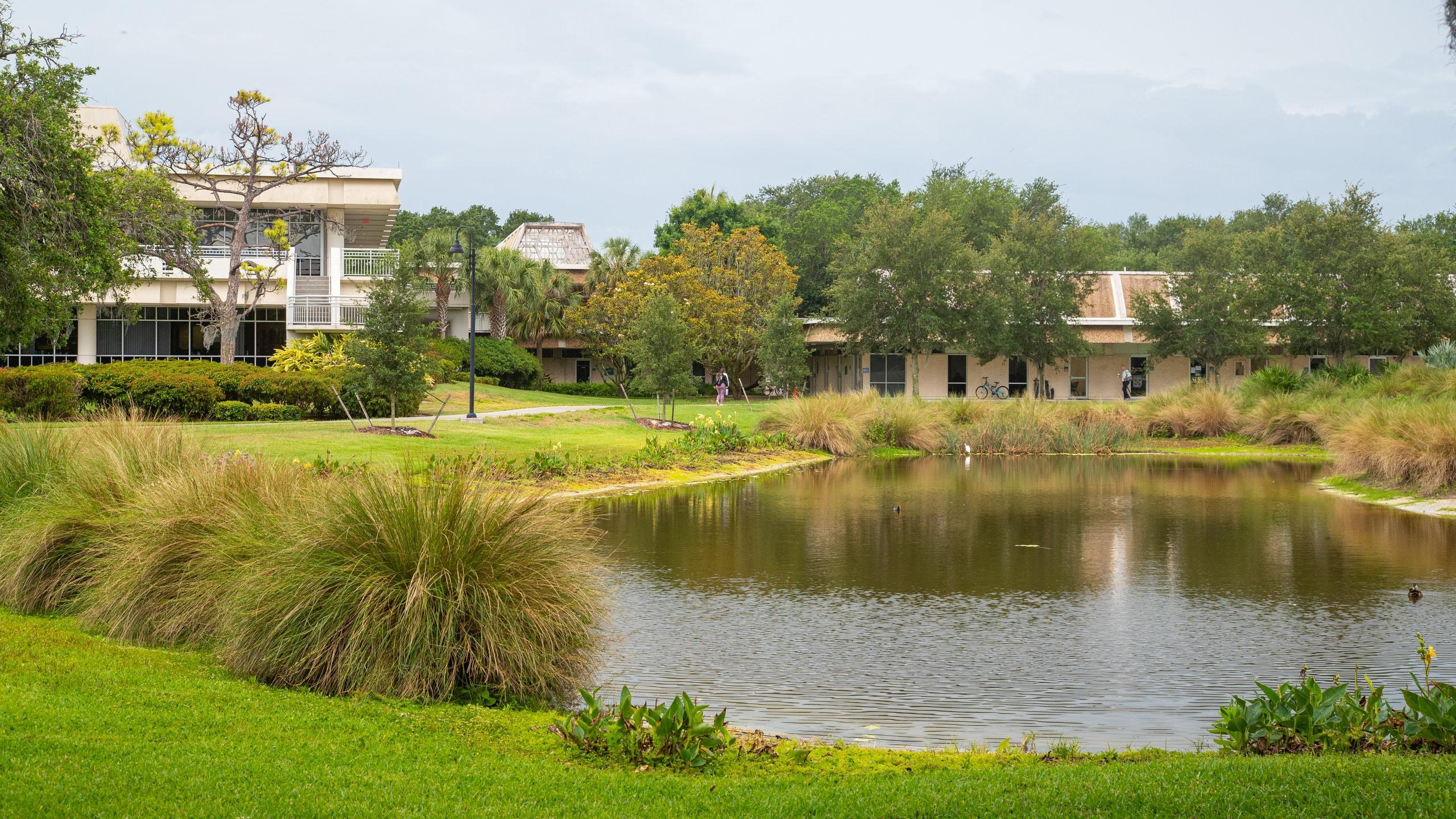 Eckerd College - St. Petersburg - Clearwater |Expedia.co.jp