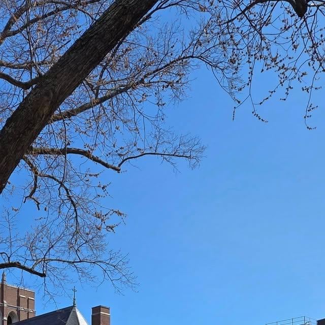 Spring is here...hoping for warmer temps next week! 🌱