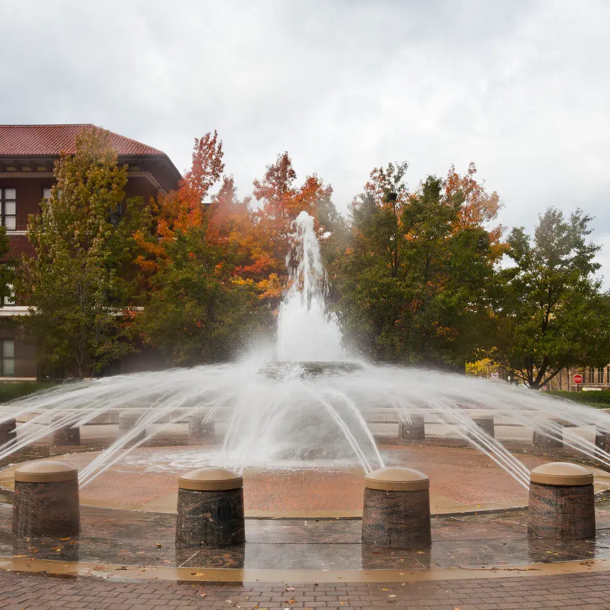 Purdue adds two corporate education partners | Higher Ed Dive