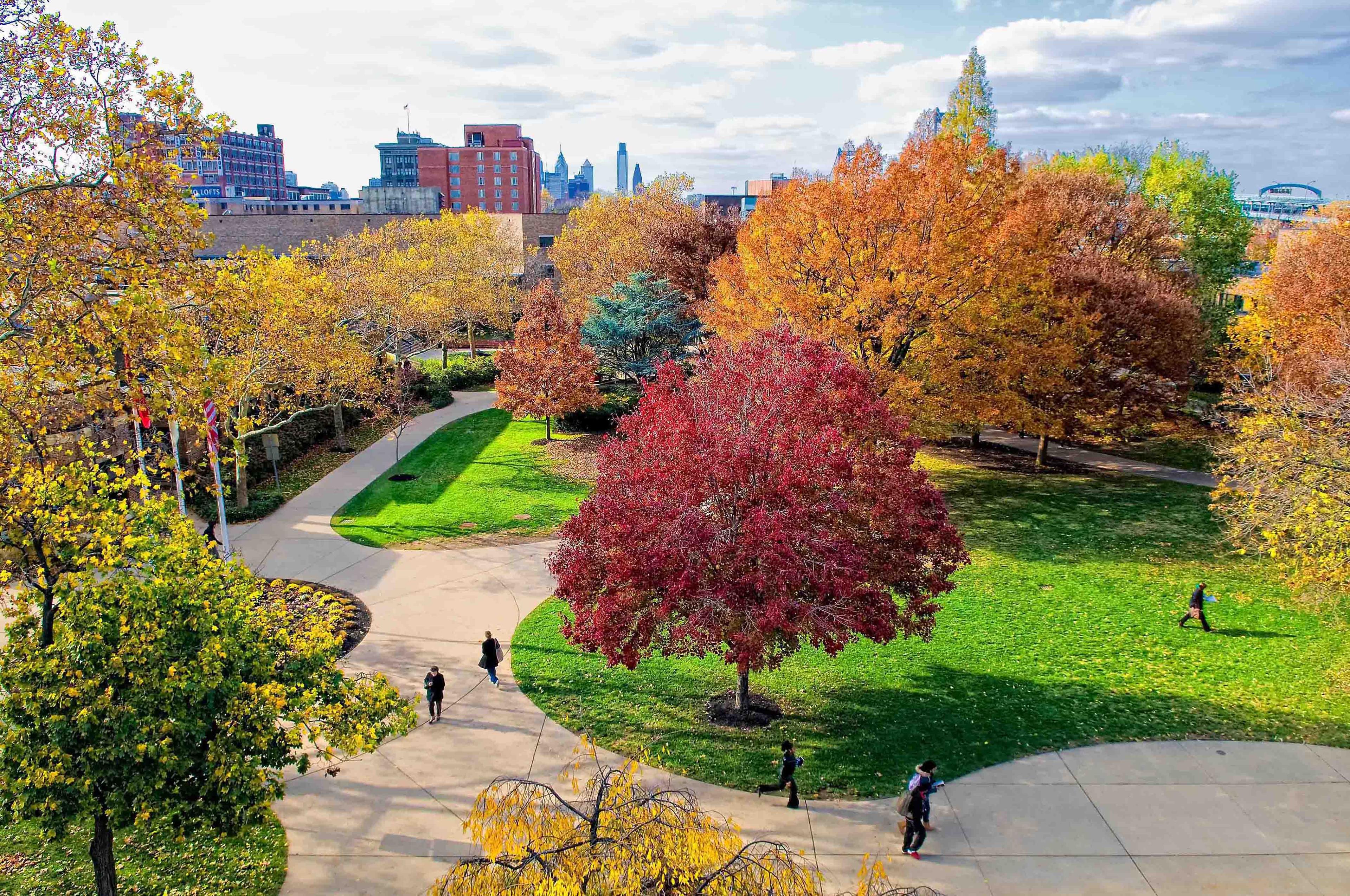 Rutgers University Camden | Undergraduate Program