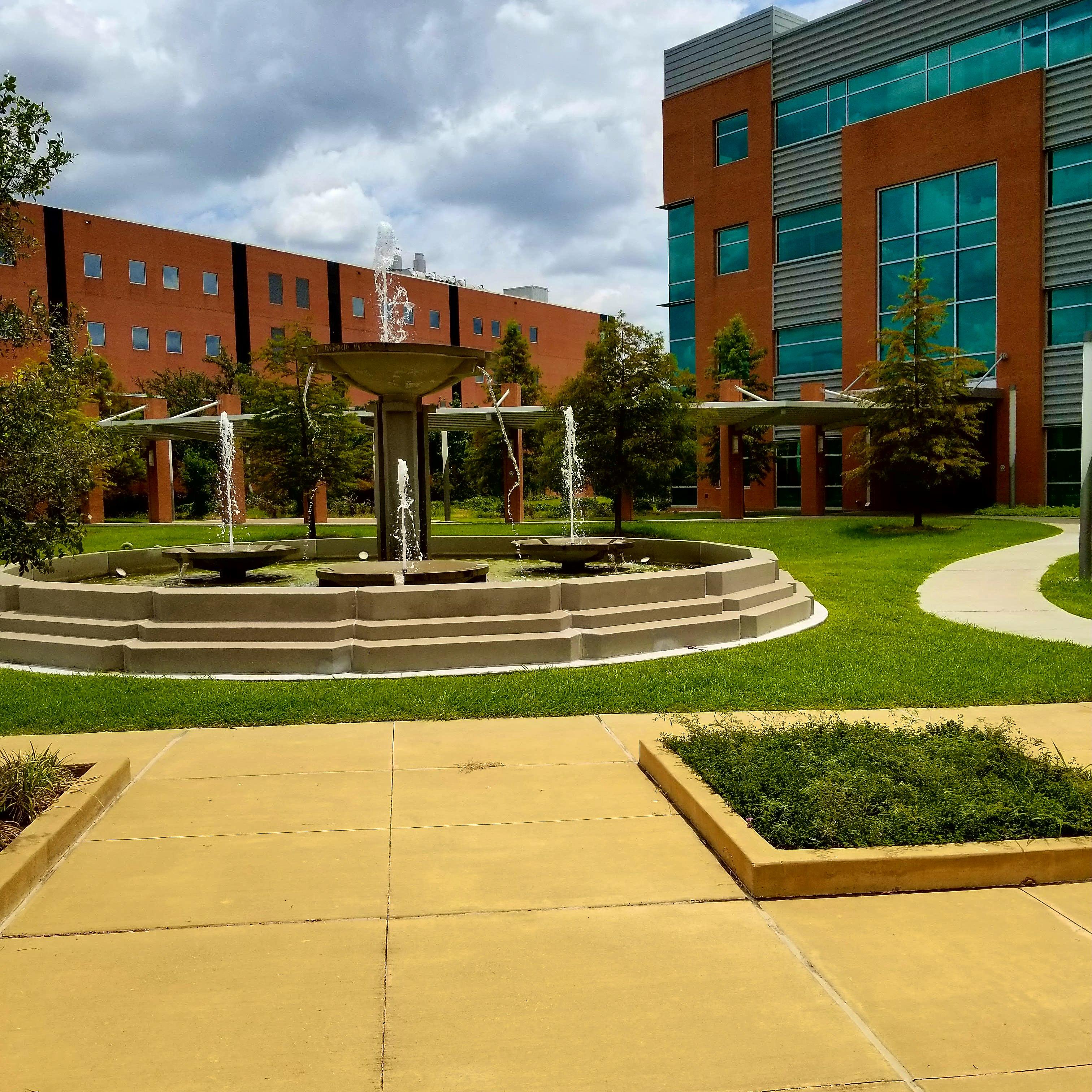 Texas Southern University