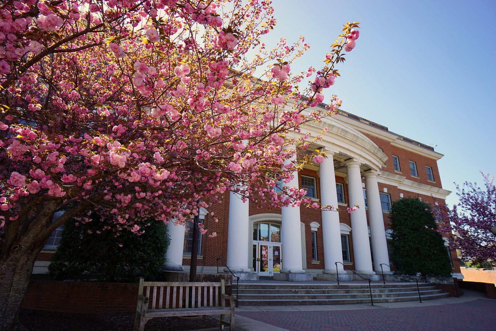 Admissions - Admissions