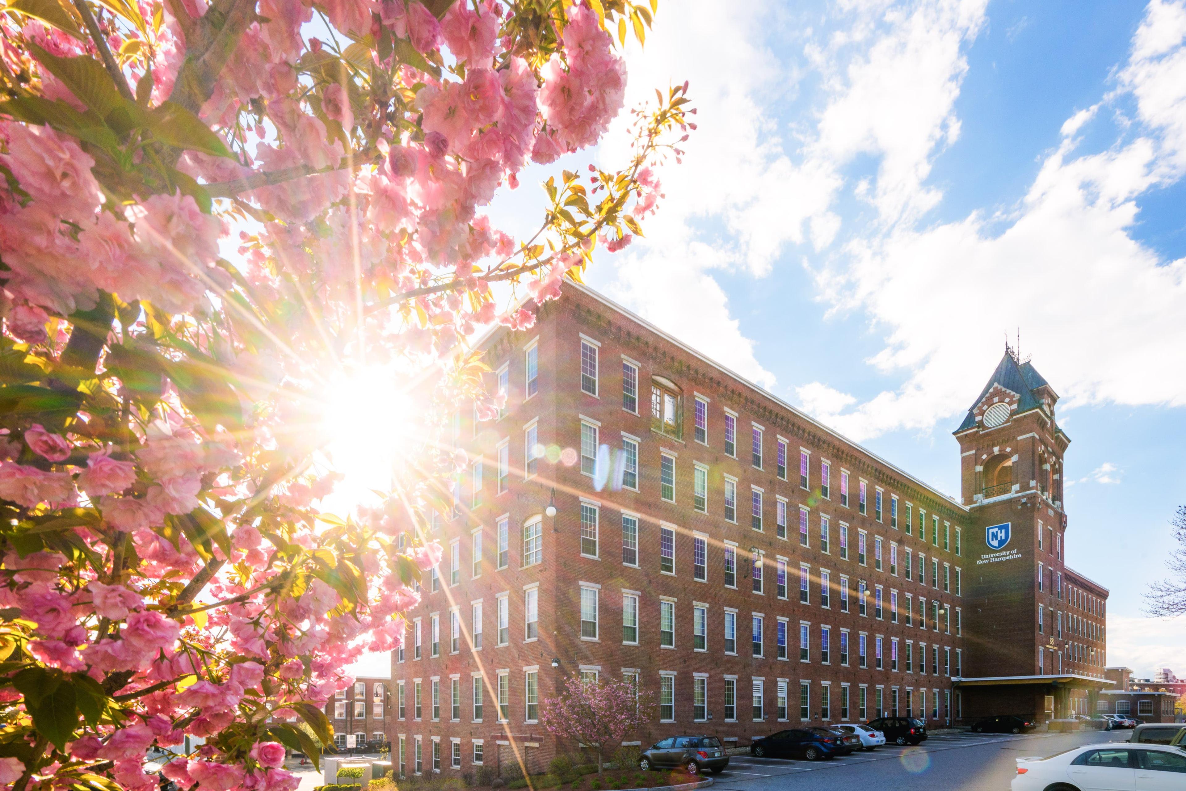 Mar 8 | UNH Manchester Spring Open House | Manchester, NH Patch