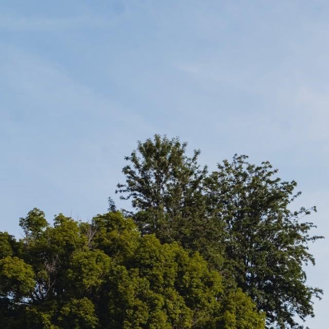 Whittier College is proud to announce a transformative $700,000 grant from the Fletcher Jones Foundation in support of the Civic Scholars Program. The grant will help the program strengthen faculty efforts to