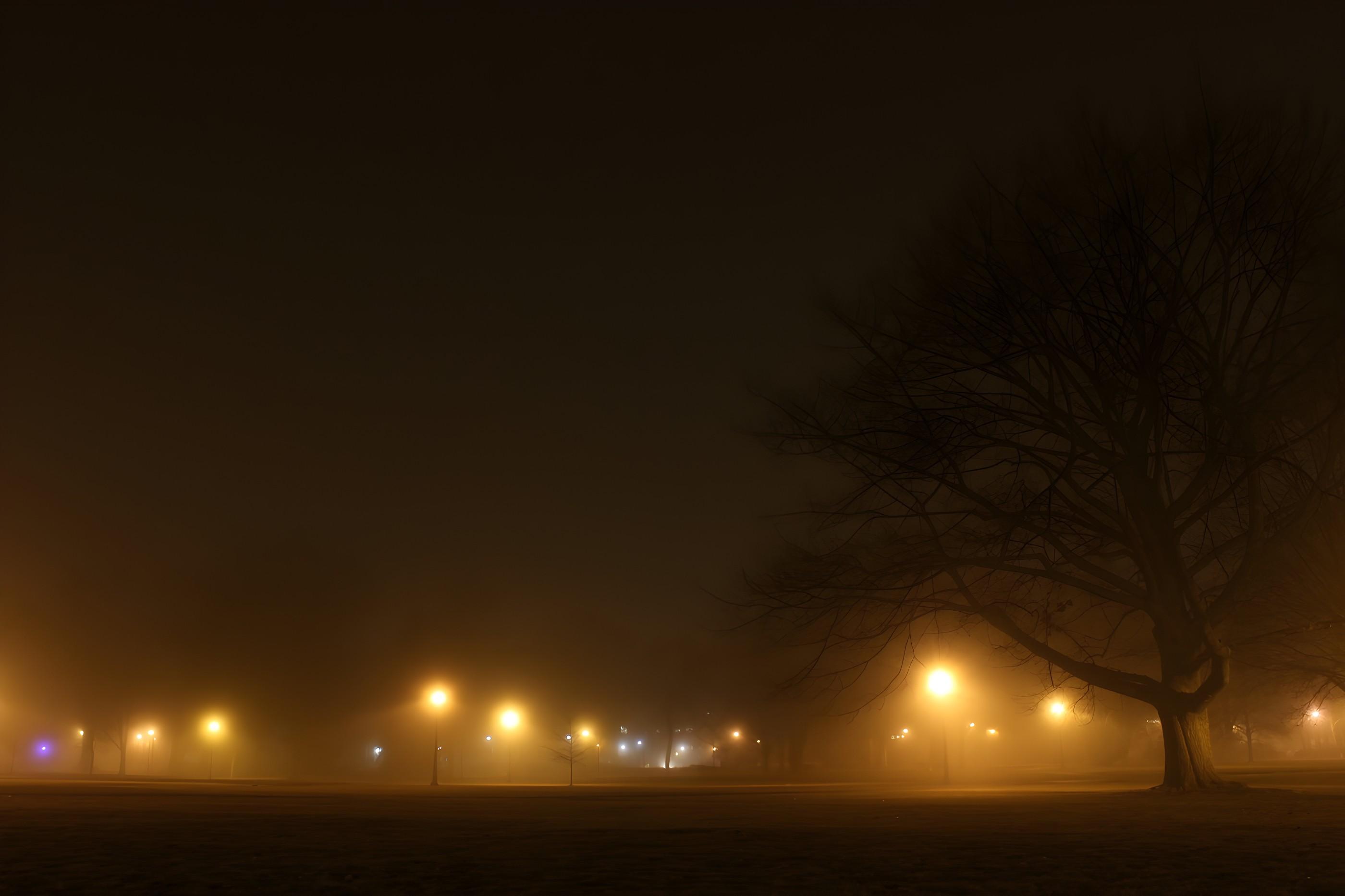 The Oval in fog, The Ohio State University