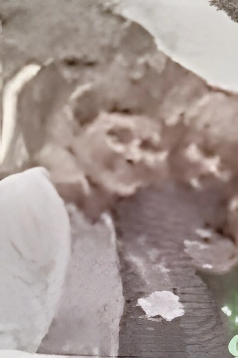 Robert